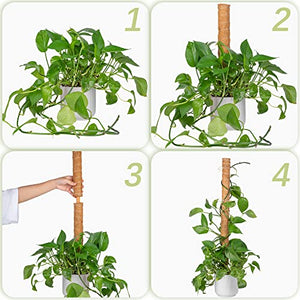 Monstera, 52 Inch Moss Stick, Fusisi Plant Pole for Climbing Plants Coir Totem Plant Support for Indoor Potted Plants Train Creeper Plants Grow Upwards - 4 Pack