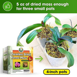 DUSPRO Premium Dried Forest Moss for Potted Plants, Ideal for Orchid Moss Potting Mix Indoor Moisture Repotting Orchid Soil Medium, Terrarium Decor, Natural Reptile Vine 5oz