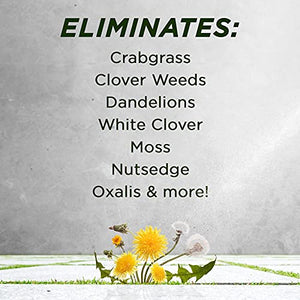 Green Gobbler 20% Vinegar Weed & Grass Killer | Natural & Organic | Concentrated | 1 Gallon Spray | Glyphosate Free Herbicide