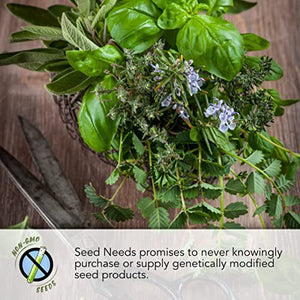 Seed Needs, Culinary Herb Collection (12 Individual Herb Seeds for Planting Indoors or Outdoors) Grow Your Own Organic Herb Garden - Heirloom, Non-GMO, Untreated