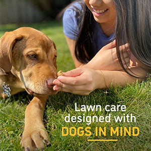 BarkYard UnMark Green Grass Paint and Lawn Spray for Dog Spot Repair That Covers up to 30 Urine Spots, 24 fl.oz. 2-Pack