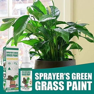 Bazuko Lawn Paint Green Spray, Grass Micronutrient Booster Spray, Garden Lawn Liquid Spray, 30ml/1.06oz