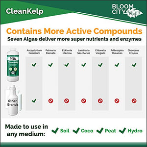 Organic Liquid Seaweed and Kelp Fertilizer Supplement by Bloom City, Quart (32 oz) Concentrated Makes 180 Gallons
