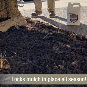 Landscape Loc Mulch & Rock Bond - Landscaping Glue, Locks Mulch, Rock, & Gravel in Place, Ready to Use, No Mixing, Fast-Drying, Strong, Sprayable, Adhesive, Binder, and Stabilizer, (1 Gallon, 1)