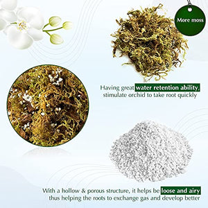 DUSPRO 2QT Orchid Potting Mix with Moss Pine Bark Mulch Perlite Stone & Coco Peat Natural Ingredients, Orchid Repotting Kit Drainage Indoor Potting Medium Great for Plant Root Climbing & Expanding