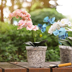 TRUEDAYS Clear Orchid Pot with Holes(4-Pack) - 6 inch - Plastic Pots for Plants, Flower