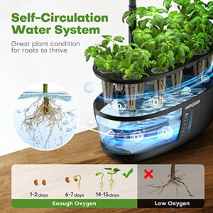 Indoor Garden Hydroponics Growing System: 12 Pods Plant Germination Kit Herb Garden Kit Growth Lamp Countertop with LED Grow Light Hydrophonic Planter Grower Harvest Vegetable Lettuce