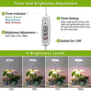 LORDEM Grow Light, LED Plant Light for Indoor Plants Growing, Full Spectrum Desk Growth Lamp with Automatic Timer for 4H/8H/12H, 4 Dimmable Levels, Height Adjustable 9.8"-30.6"