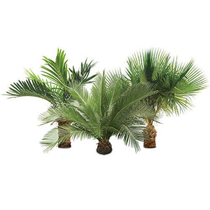 Jobe’s Organics 09126 Palm Tree Granular Plant Food, 4 lb
