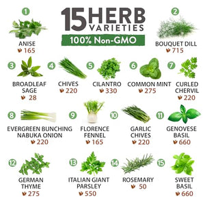 15 Culinary Herb Seeds - Heirloom & Non GMO - High Germination Rate - Seeds for Planting Indoor Hydroponic or Outdoor Herbs Garden | Gardening Gift Men Women Gardeners - Basil, Cilantro, Mint