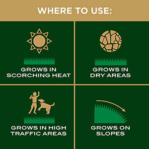 Scotts EZ Seed Patch and Repair Tall Fescue Lawns, 3.75 lb. - Combination Mulch, Seed, and Fertilizer - Tackifier Reduces Seed Wash-Away - Mix Covers up to 85 sq. ft.