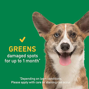 BarkYard UnMark Green Grass Paint and Lawn Spray for Dog Spot Repair That Covers up to 30 Urine Spots, 24 fl.oz. 2-Pack