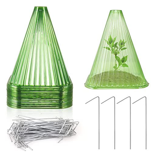 35 Pack Garden Cloches for Plants, Reusable Plastic Small Plant Protector Seedling Protector to Protect Plants from Frost, Birds, and Snail Damage Increase The Survival Rate of Seedlings (Style 1)