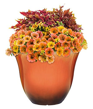 Classic Home and Garden Honeysuckle Resin Flower Pot Planter, Tequila Sunrise, 13"