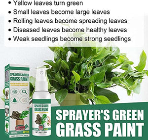 Bazuko Lawn Paint Green Spray, Grass Micronutrient Booster Spray, Garden Lawn Liquid Spray, 30ml/1.06oz