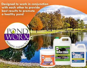 PondWorx Pond Bacteria - Formulated for Large Ponds, Water Features and Safe for Koi - Gallon