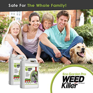 ECO Garden PRO - Organic Vinegar Weed Killer | Kid/Pet Safe | Clover Moss, Green Grass & Poison Ivy Killer for Lawns | Spray Ready Glyphosate Free Herbicide (1 Gallon)