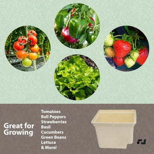 10 Pack Dutch Bucket - Hydroponic Bato Buckets - with Siphon Elbows - 11 Liter (12" x 10" x 9") - (Tan)