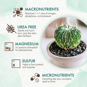 The Grow Co Succulents & Cactus Plant Food - Gentle Long Lasting Formula, Slow Release Fertilizer (Liquid Alternative) for All Potted Succulent, Cacti & Aloe Vera Plants (5 oz)