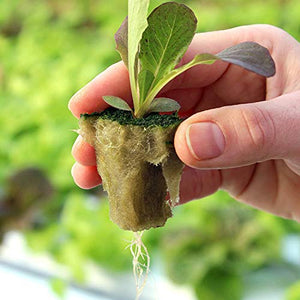 SKINNYBUNNY 1'' Rockwool Grow Cubes, Starter Plugs with Planting Holes, Ideal Hydroponics Grow Media, Perfect for Soilless Culture and Transplanting, 4 Sheets of 50 Cubes (200 Cubes Total)