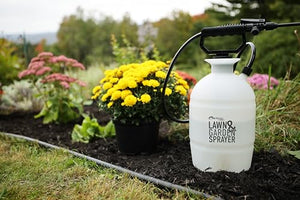 Flo-Master by Hudson 24101 1 Gallon Lawn and Garden Tank Sprayer, Translucent