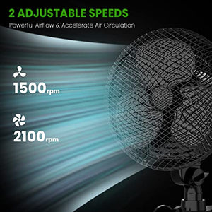 CANNABMALL Clip On Fan for Grow Tents 6 Inch Oscillating Fan with Adjustable Grip Clip and 2-Speed Options, Strong Airflow, Humidity Resistant Motor, Quiet Hydroponics Circulation Cooling (Black)