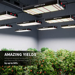 BESTVA 2023 Newest Upgrade 2000W Led Grow Light with High Yield Diodes Full Spectrum LED Grow Lights for Indoor Plants Greenhouse Veg Bloom Light Hydroponic Grow Lamp