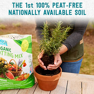 Back to the Roots All-Purpose Potting Soil (6 Quarts), 100% Organic & USA Made, for Indoor and Outdoor Plants, Succulents, Flowers, and Vegetables