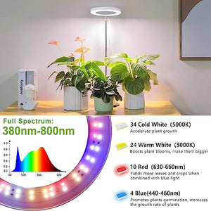 LORDEM Grow Light, LED Plant Light for Indoor Plants Growing, Full Spectrum Desk Growth Lamp with Automatic Timer for 4H/8H/12H, 4 Dimmable Levels, Height Adjustable 9.8"-30.6"