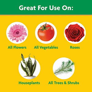 Miracle-Gro Water Soluble All Purpose Plant Food, Fertilizer for Indoor or Outdoor Flowers, Vegetables or Trees, 3 lbs.