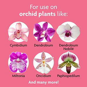 Miracle-Gro Ready-To-Use Orchid Plant Food Mist, 8 oz., Feeds Plants Instantly, 1 Pack