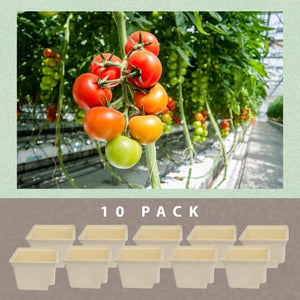 10 Pack Dutch Bucket - Hydroponic Bato Buckets - with Siphon Elbows - 11 Liter (12" x 10" x 9") - (Tan)