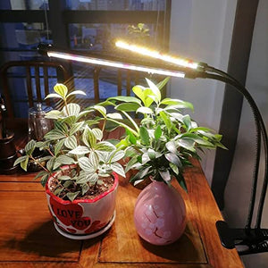 Plant Light for Indoor Plants, JINHONGTO 3000k/5000k/660nm Full Spectrum Clip On Grow Light, 3 Light Modes & 10 Dimming Levels with Timer Function, Plant Growing Lamp
