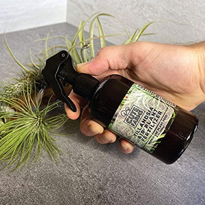 Cute Farms Tillandsia Air Plant Fertilizer | Gentle Weekly Use Formula Plant Food with Care Guide | Formulated Nutrients (8 oz. Spray Bottle)