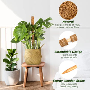 Monstera, 52 Inch Moss Stick, Fusisi Plant Pole for Climbing Plants Coir Totem Plant Support for Indoor Potted Plants Train Creeper Plants Grow Upwards - 4 Pack