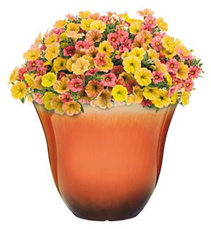 Classic Home and Garden Honeysuckle Resin Flower Pot Planter, Tequila Sunrise, 13"