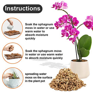 Sukh 5oz Sphagnum Peat Moss for Plants - Natural Premium Long Fibered Chile Dried Moss Potting Mix for Orchids Succulent Carnivorous Potted Plant Reptiles Medium Sarracenia