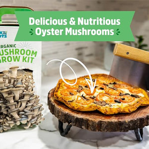 Back to the Roots Organic Mushroom Grow Kit 3-Pack: Oyster, Oyster & Pink-Harvest Gourmet Mushroom in Just 10 Days