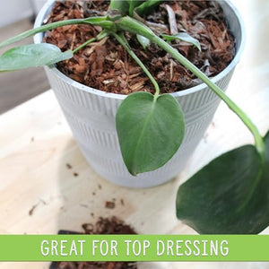 Houseplant Mulch - Small bark Wood Chips for Indoor, Patio, Potting Media, and Much More! (8QTs)