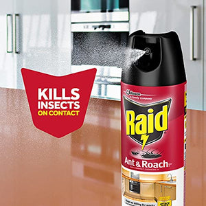 Raid Ant & Roach Killer 26, Fragrance Free Bug Killer for Home Use, Kills Bugs on Contact, 17.5 Oz, 2 Count