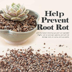 Bonsai Jack Succulent and Cactus Soil - Jacks Gritty Mix #111 - 2 Quarts – Fast Draining – Fight Root Rot – Optimized pH