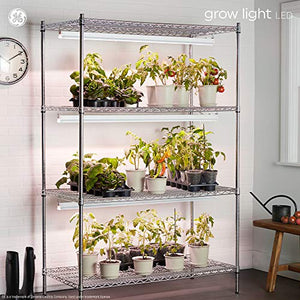 GE Grow LED Light Bulb for Plants for Seeds and Greens with Balanced Light Spectrum, BR30 Floodlight (2 Pack)