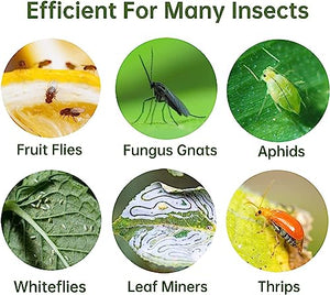 36 Pack Sticky Traps Plant Trap for Fungus Gnat, Fruit Fly Traps for Mosquito and Bug Indoor & Outdoor, Pest Insect Catcher Killer