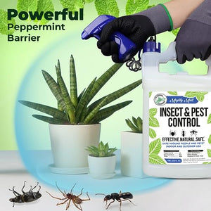 Mighty Mint Gallon (128 oz) Insect and Pest Control Peppermint Oil - Natural Spray for Spiders, Ants, and More