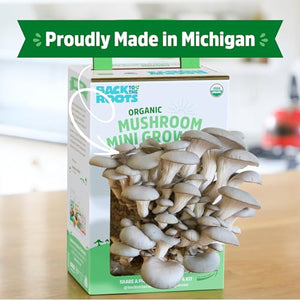 Back to the Roots Organic Mini Mushroom Grow Kit, Harvest Gourmet Oyster Mushrooms In 10 days, Top Gardening Gift, Holiday Gift, & Unique Gift