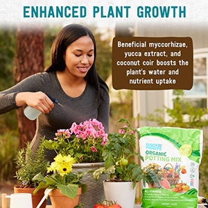 Back to the Roots All-Purpose Potting Soil (6 Quarts), 100% Organic & USA Made, for Indoor and Outdoor Plants, Succulents, Flowers, and Vegetables