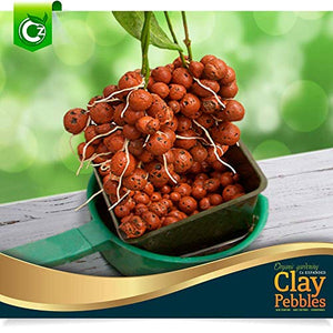 XL Expanded Clay Pebbles Grow Media for Orchids, NFT DWC Hydroponics, Aquaponics, Aquaculture LECA Plant Garden Soil Conditioner Amendment Ceramsite Aggregate (2 LB Cz Expanded Clay Pellets)