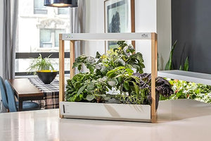 Rise Gardens Personal Garden and Starter Kit | Hydroponics Growing System, Wi-Fi & App Controlled Indoor Garden with Growing Lights & Self-Watering System | Includes 8 Seed Pods & 6 Weeks Nutrients