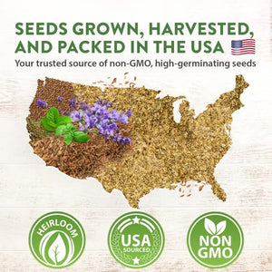 15 Culinary Herb Seeds - Heirloom & Non GMO - High Germination Rate - Seeds for Planting Indoor Hydroponic or Outdoor Herbs Garden | Gardening Gift Men Women Gardeners - Basil, Cilantro, Mint