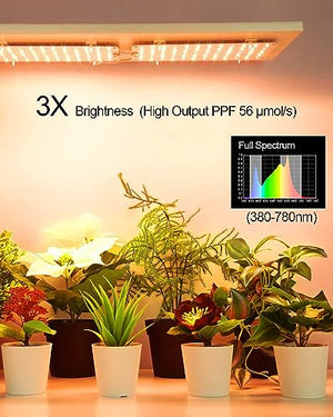 DOMMIA Grow Lights for Indoor Plants, 20W Full Spectrum Grow Light with Auto ON & Off Timer, 132 LEDs Sunlike Light for Hydroponics, Succulents & More, Easy to Assemble（2Pcs）
